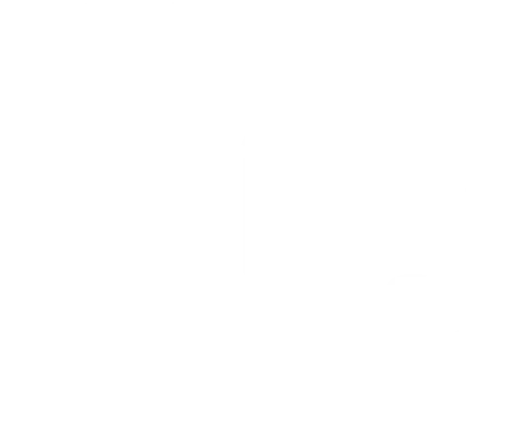 Digs